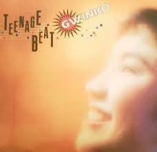 Gwinko : Teenage Beat (LP, Album, Promo)