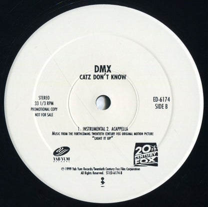 DMX : Catz Don't Know (12", Promo)