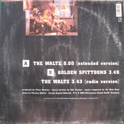 Nize Boyz : The Waltz (12", Maxi)