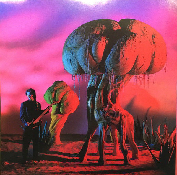 Kenji Suzuki : Cosmic Words (LP, Album)