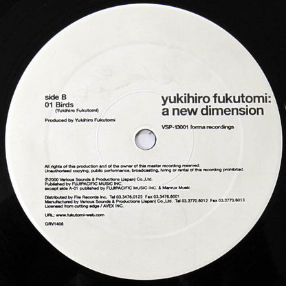 Yukihiro Fukutomi : A New Dimension (12")