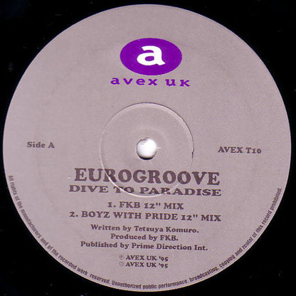 Eurogroove : Dive To Paradise (12")