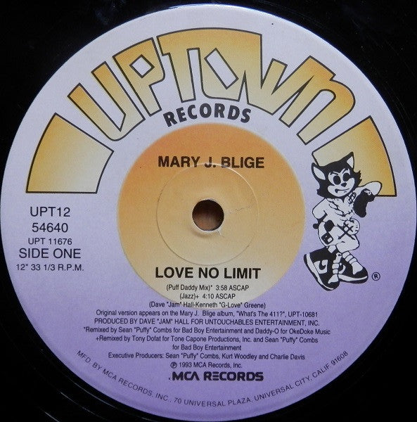 Mary J. Blige : Love No Limit (12", Single)