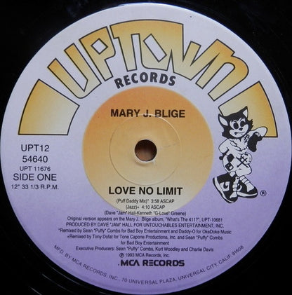 Mary J. Blige : Love No Limit (12", Single)