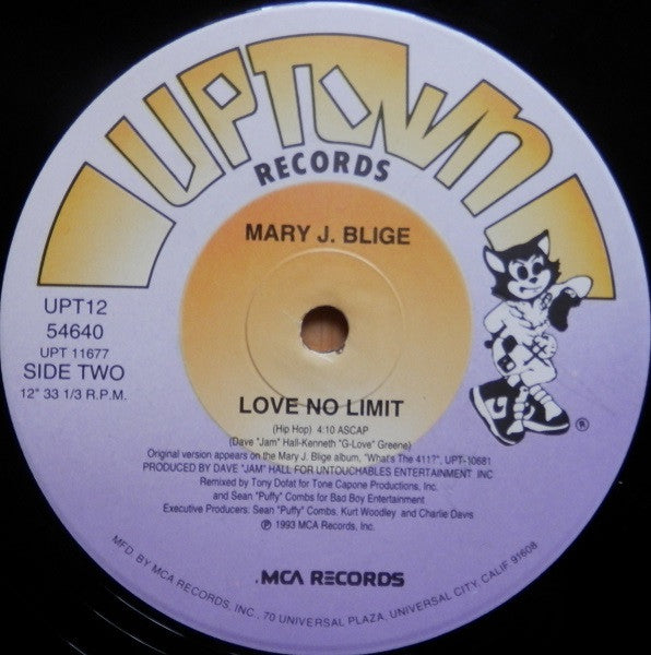 Mary J. Blige : Love No Limit (12", Single)