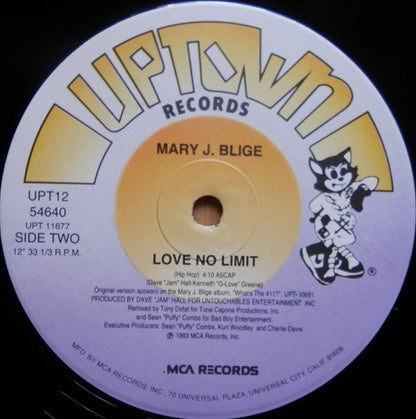 Mary J. Blige : Love No Limit (12", Single)