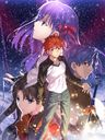 Fate/Stay Night: Heaven's Feel - I. Presage Flower (Movie) (English Subtitles) [Limited Edition] Animation