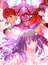 Fate/stay night [Heaven's Feel] III.spring song (Movie) (English Subtitles) [Limited Edition] Animation