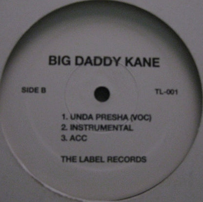 Big Daddy Kane – Hold It Down / Unda Presha – edition reference image