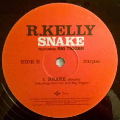 R. Kelly Ft. Big Tigger – Snake – edition reference image