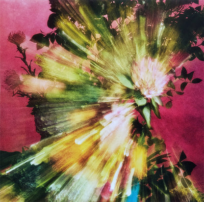 Jessie Ware – Superbloom