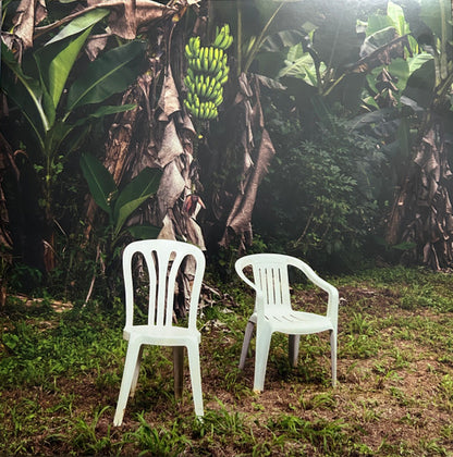 Bad Bunny – Debí Tirar Más Fotos – 2×LP · Reissue · White · United Pressing – Mint (M) – front