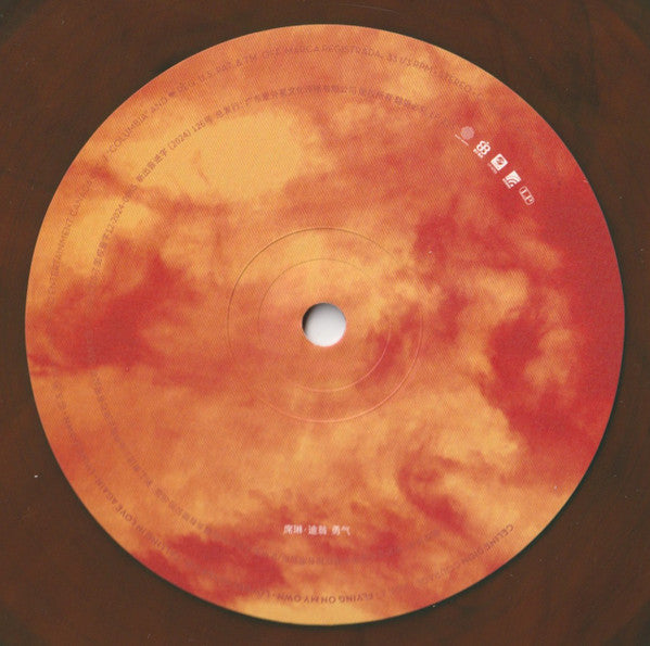 席琳・迪翁 = Celine Dion – Courage = 勇氣（中國限量琥珀大理石紋 2LP） — image 6