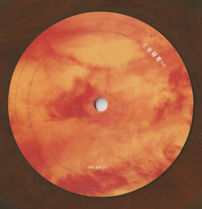 席琳・迪翁 = Celine Dion – Courage = 勇氣（中國限量琥珀大理石紋 2LP） — image 8