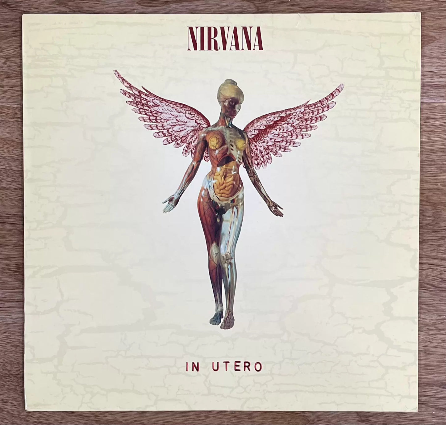 Nirvana – In Utero 1993 European First-Press Vinyl LP — front view
