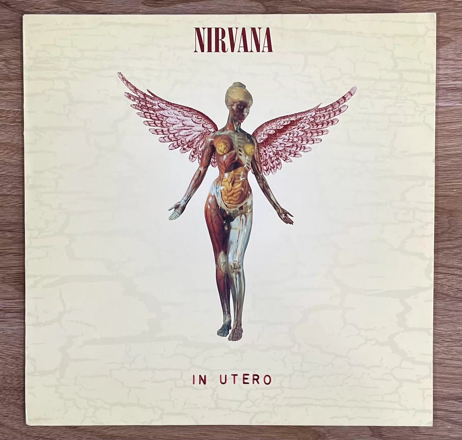 Nirvana – In Utero 1993 European First-Press Vinyl LP — front view