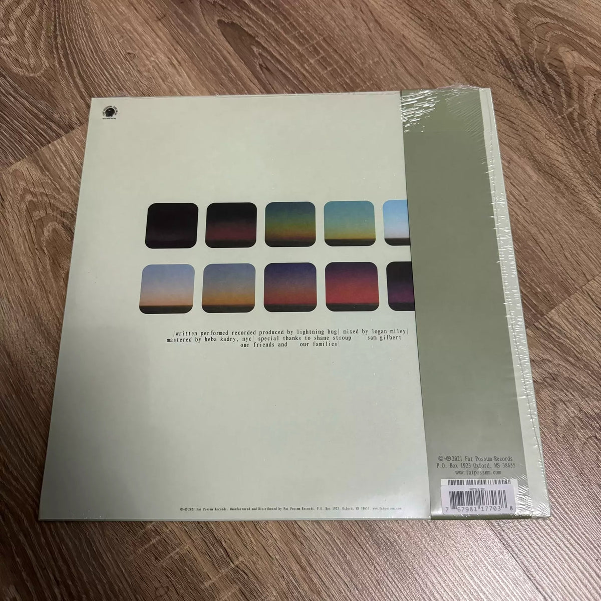 Lightning Bug – A Color of the Sky, Forest Green Vinyl (LP) – photo 2