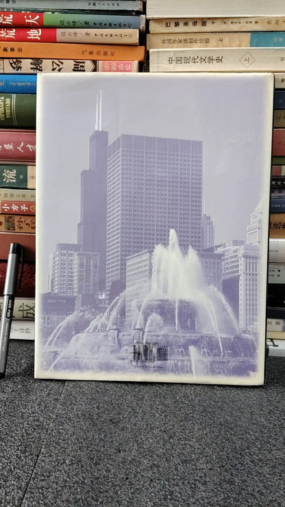 Chicago: A Photographic Portrait – 1999 Edition — detail 2