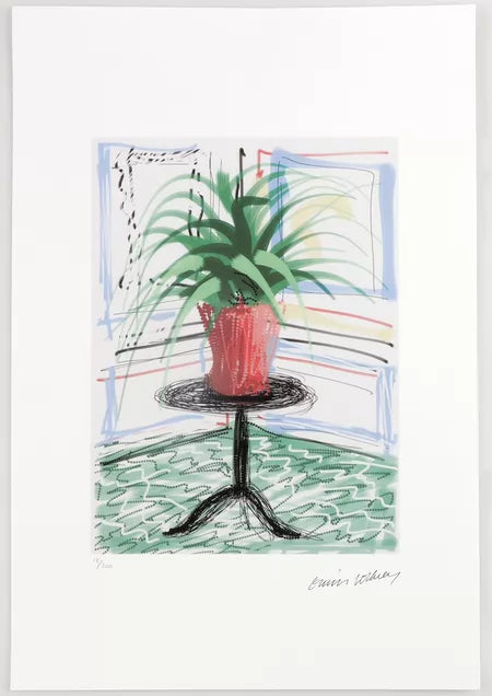 David Hockney — Potted Plant, Numbered Offset Print 18/200