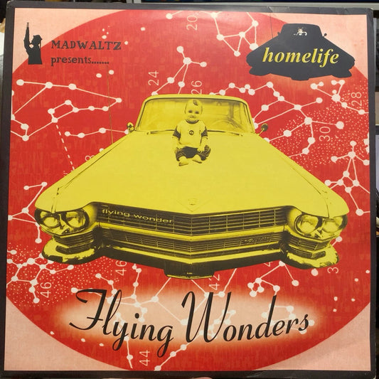 Homelife – Flying Wonders (2LP) – photo 1