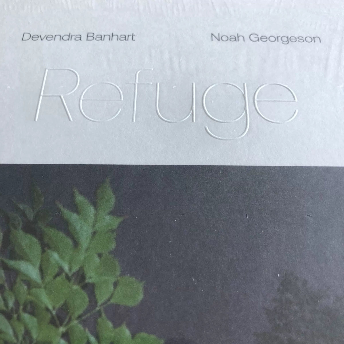 Devendra Banhart & Noah Georgeson – Refuge, Sea Glass Vinyl (2LP) – edition illustration