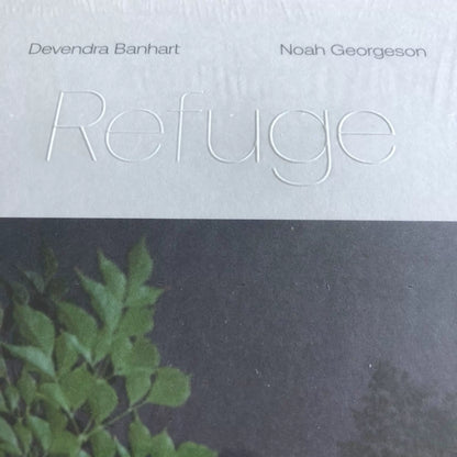 Devendra Banhart & Noah Georgeson – Refuge, Sea Glass Vinyl (2LP) – edition illustration