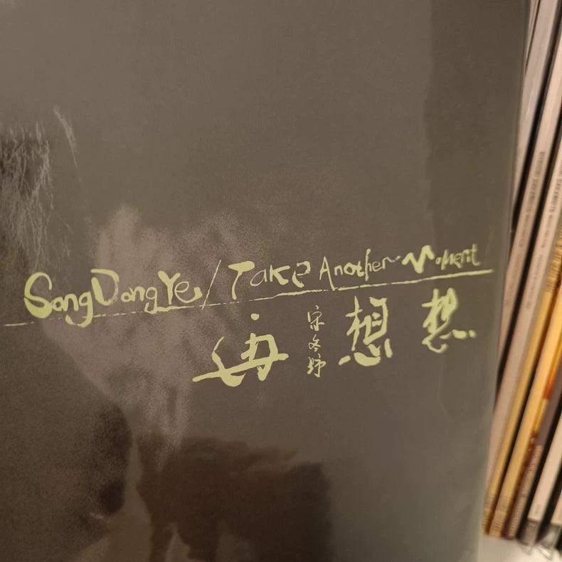 Song Dongye 宋冬野 – 再想想 – Japanese Misprint Vinyl 2LP