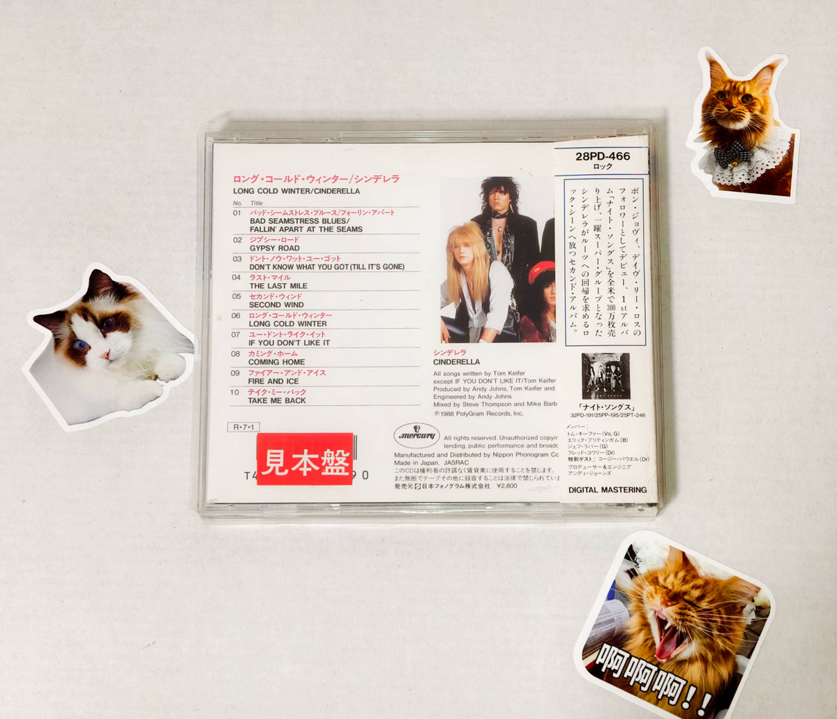 Cinderella – Long Cold Winter – Japanese Promo CD 28PD-466