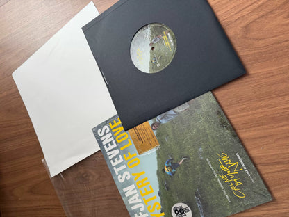 Call Me by Your Name & Sufjan Stevens – Mystery of Love Limited Peach Vinyl Set