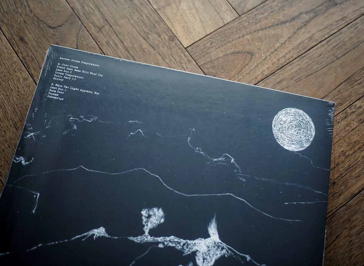 Anenon – Dream Temperature – Clear Vinyl LP — product detail 5