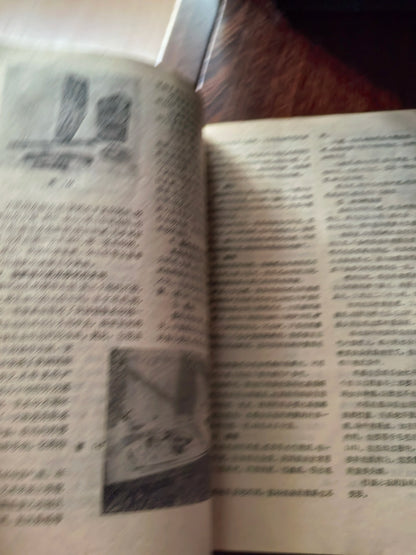 Zhao Yannian – The Art of Woodcut / 木刻艺术 (Book) – source photo 5