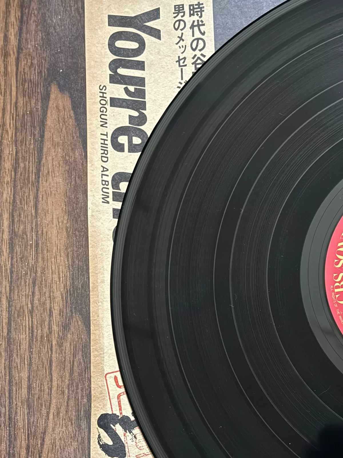 Shogun – You're the One – Japanese LP with OBI – actual item photograph 7