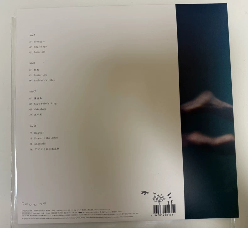 Ichiko Aoba – Windswept Adan Japanese First-Press Vinyl LP — detail 2