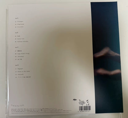 Ichiko Aoba – Windswept Adan Japanese First-Press Vinyl LP — detail 2