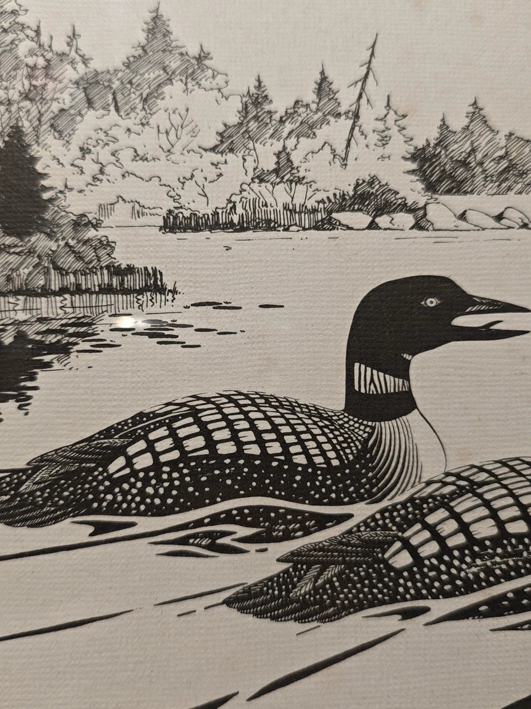Terry Radeke – Loon – Framed Print 719/900 – detail 6