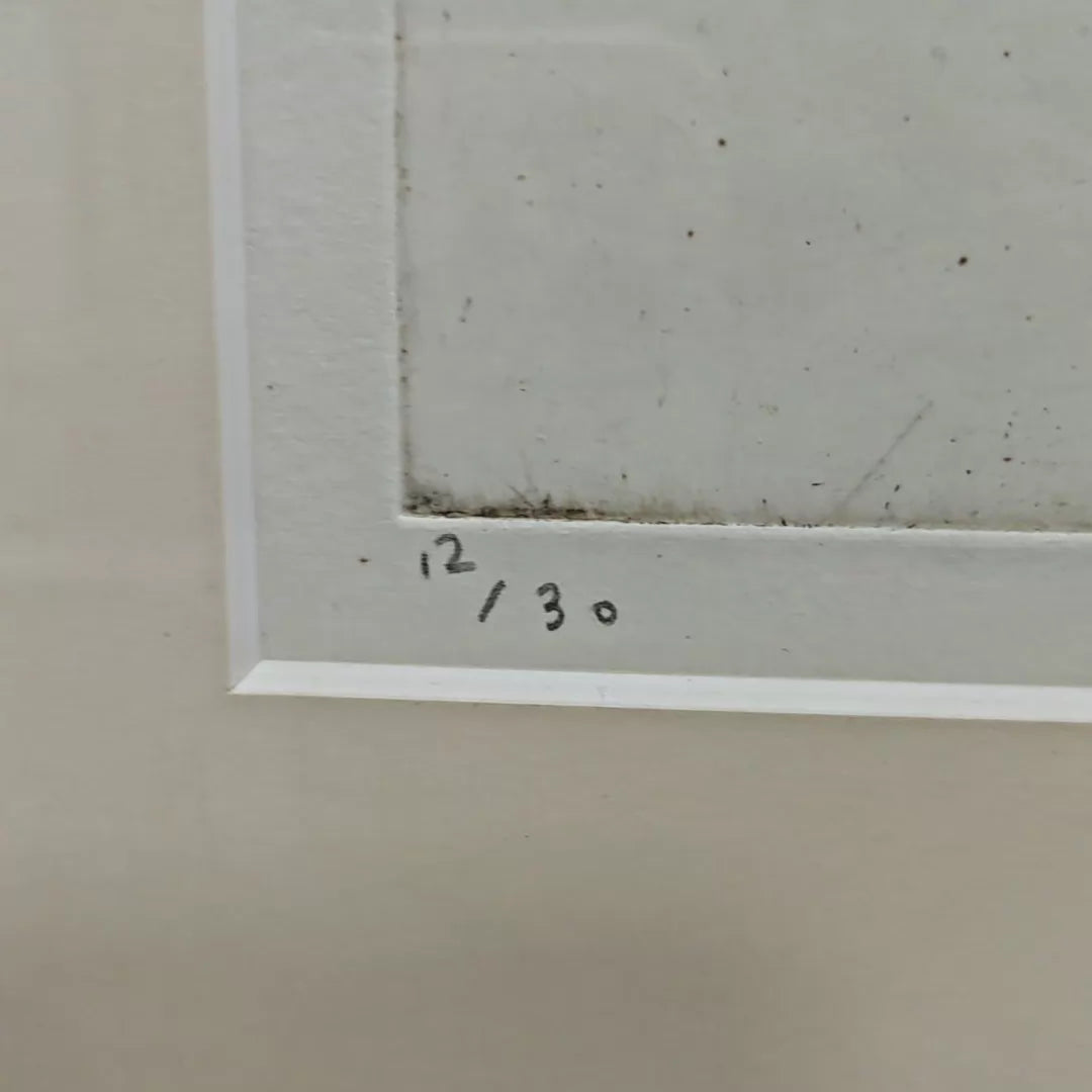 Anemone Flowers – Framed Print, Numbered 12/30 – actual item photograph 2