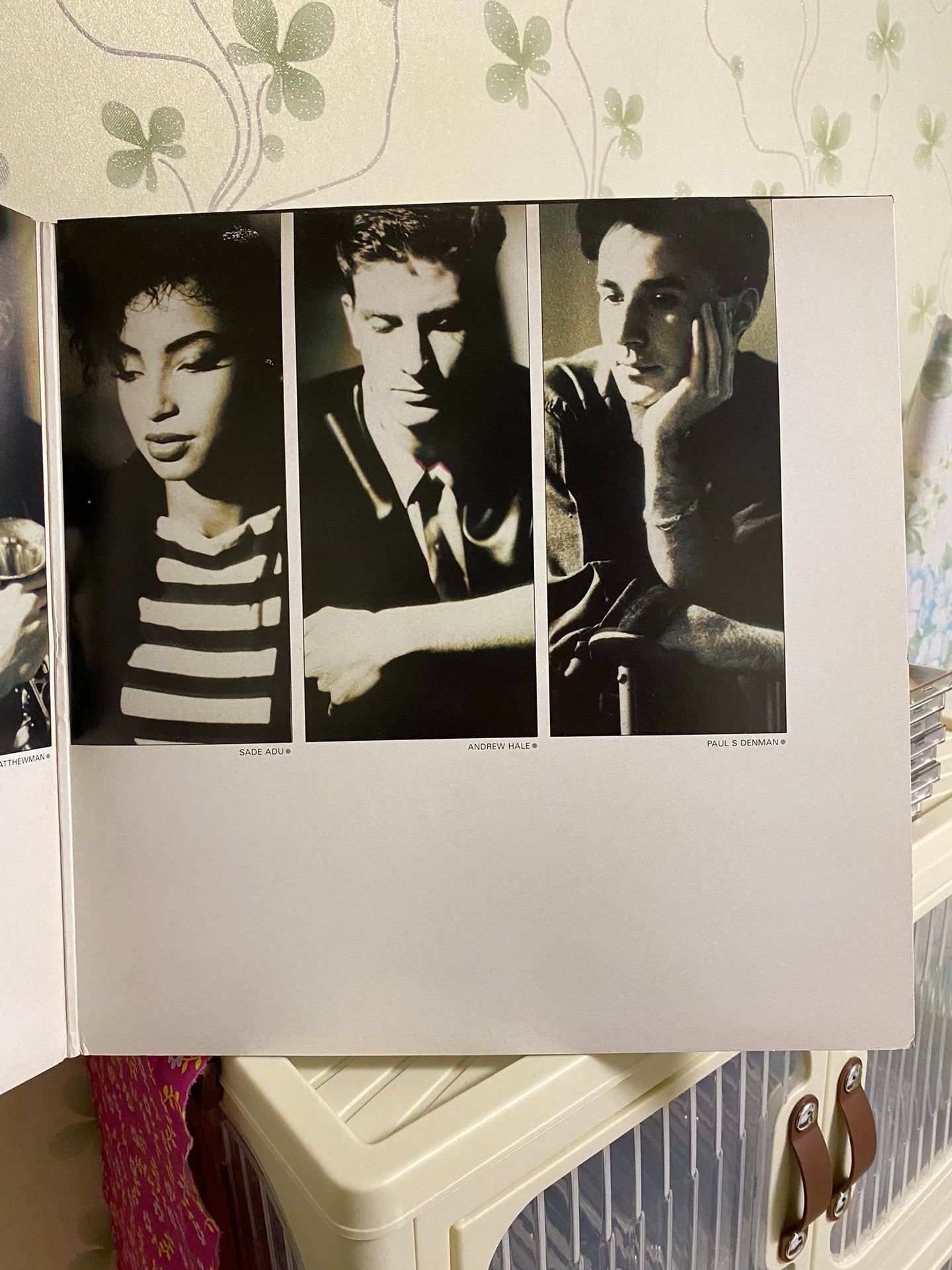 Sade – Diamond Life – 1984 UK First Press Vinyl (LP)