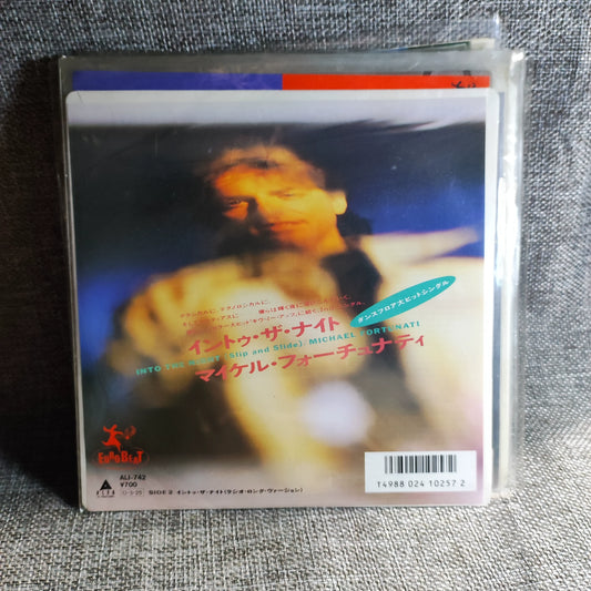 Michael Fortunati Into the Night 7 inch vinyl