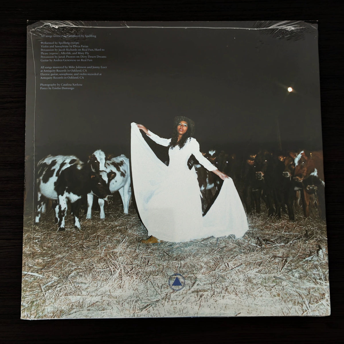Spellling – Mazy Fly, Blue Marble Vinyl (LP) – photo 2