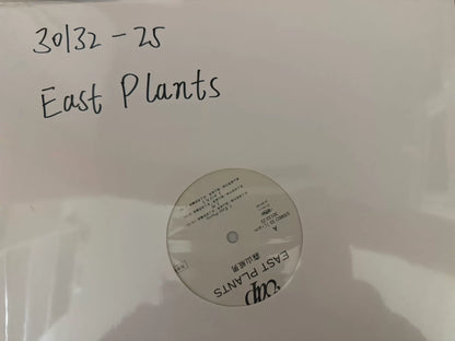 Takeo Moriyama – East Plants Japanese First-Press Promo Vinyl LP