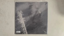 Silver Mt. Zion – Born Into Trouble – Canadian 2x10-inch