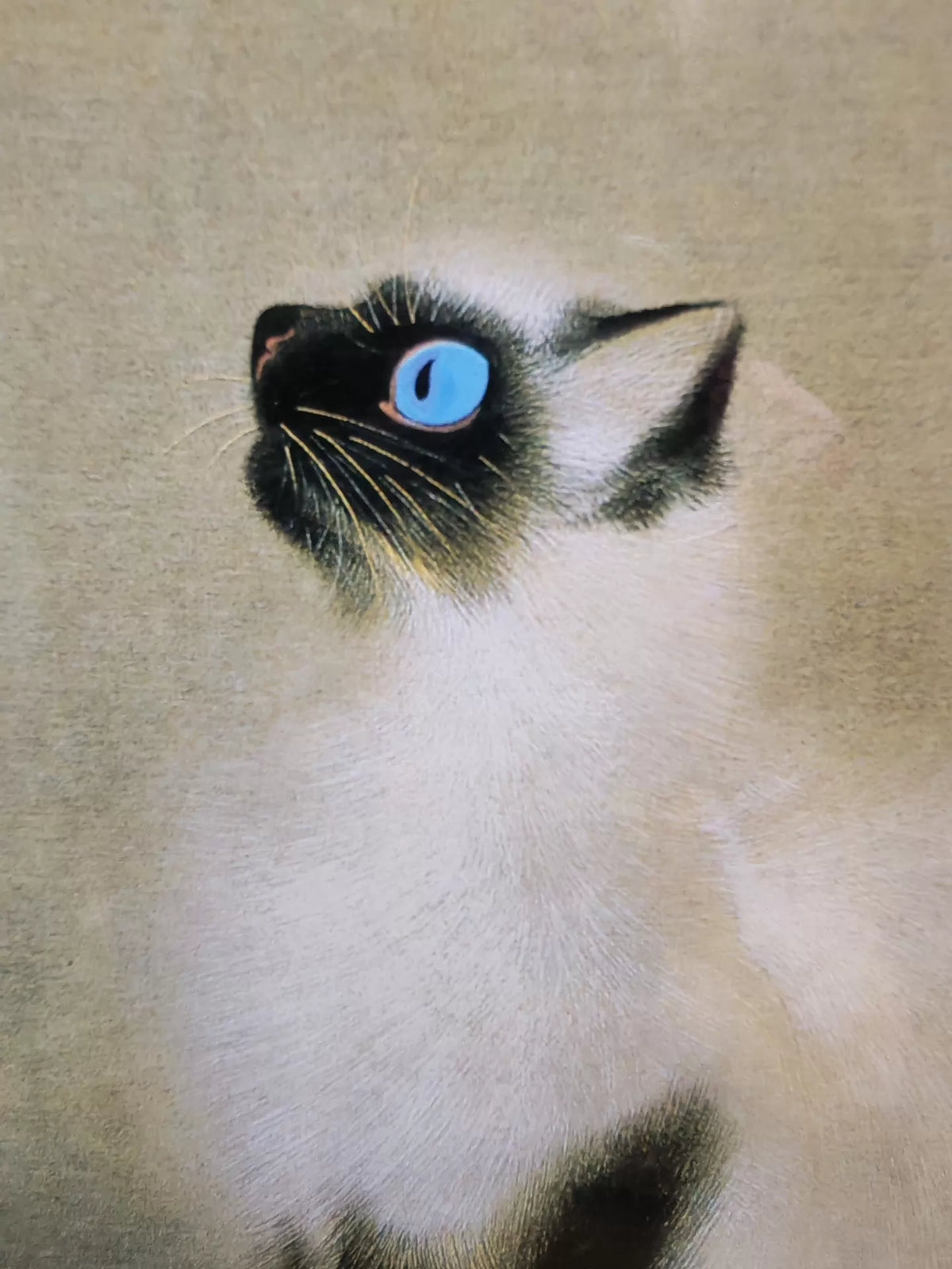 Matazo Kayama – Cat – Framed Museum Reproduction – detail 5