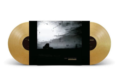 Envy – Insomniac Doze 20th Anniversary Gold Vinyl 2LP — Default Title