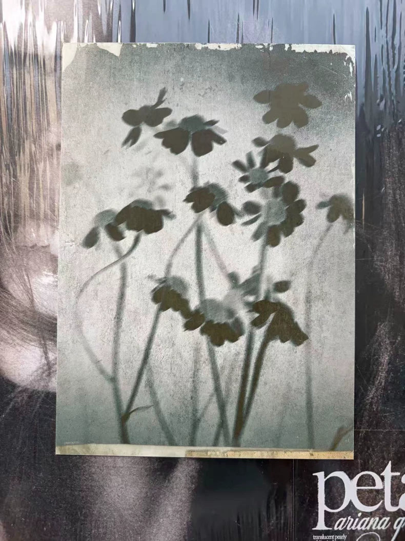 Ariana Grande – Petal – Vinyl with Black-Ink Signed Art Card
