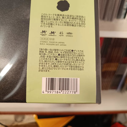 Song Dongye 宋冬野 – 再想想 – Japanese Misprint Vinyl 2LP