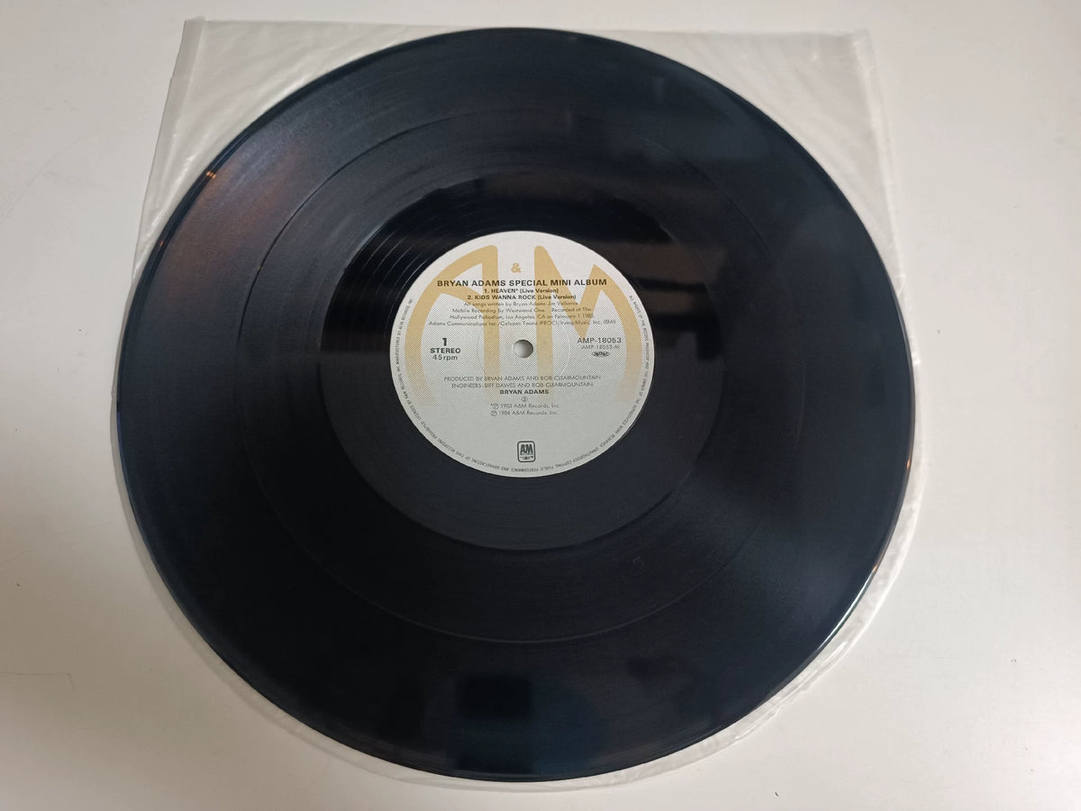 Bryan Adams – Special Mini Album; actual item detail