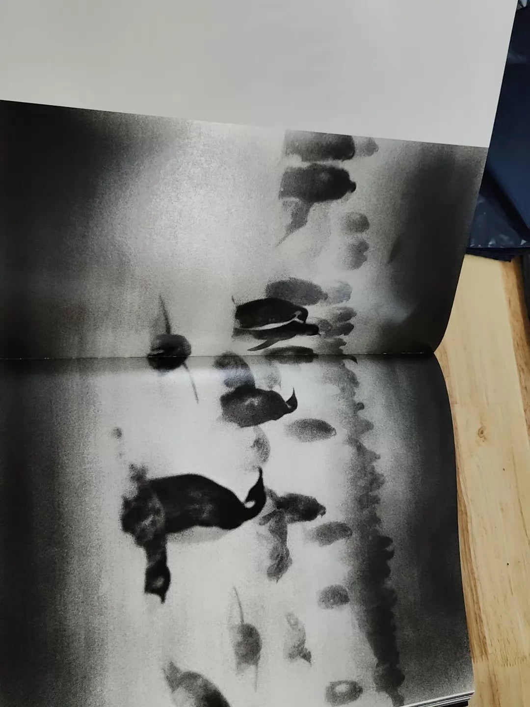 Tomasz Gudzowaty and Karl Lagerfeld – Photography as a New Kind of Love Poem — product detail 8