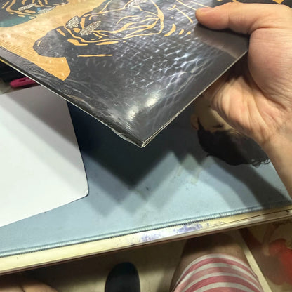 Black Pumas – Chronicles of a Diamond – Butterfly Vinyl (LP)