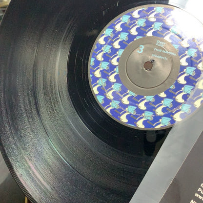 Homelife – Flying Wonders (2LP) – photo 4