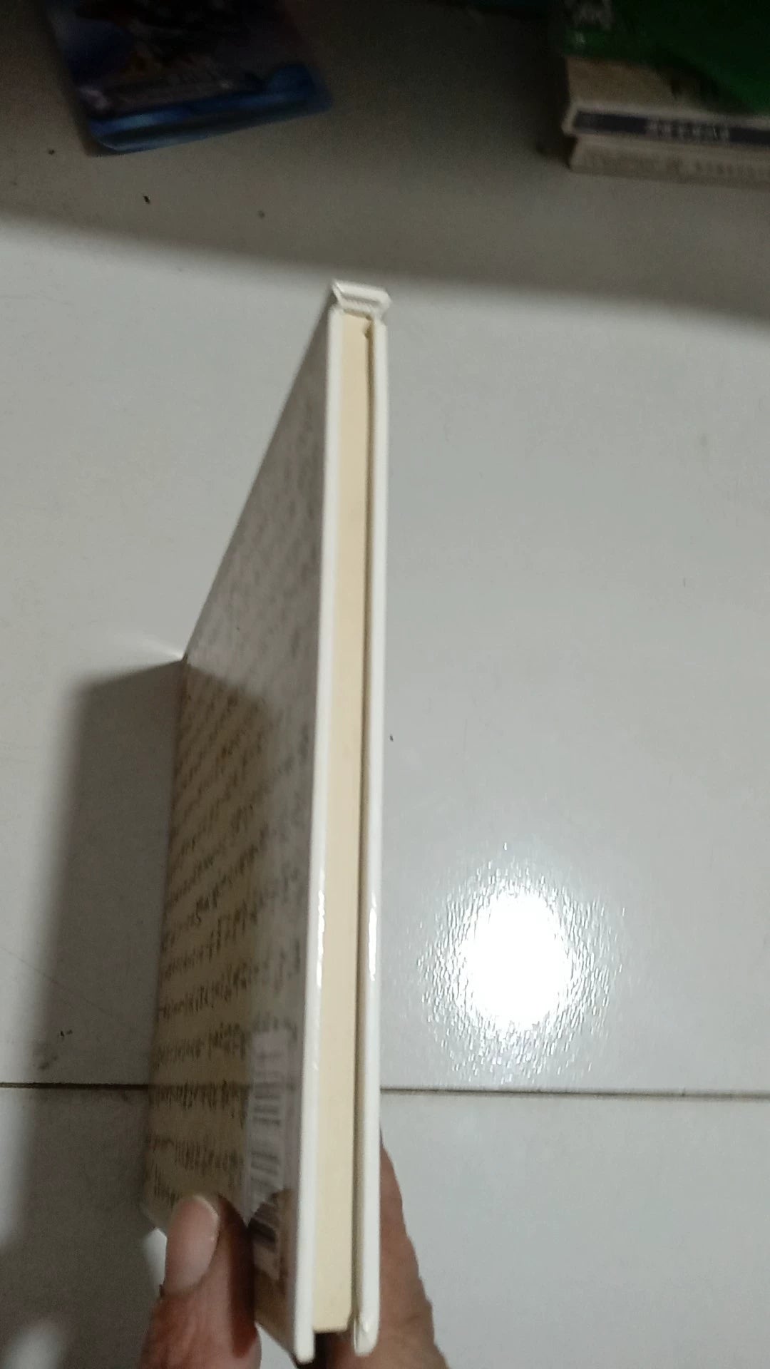 Wang Kun – Chinese Contemporary Art Criticism Series – Signed Edition — product detail 5